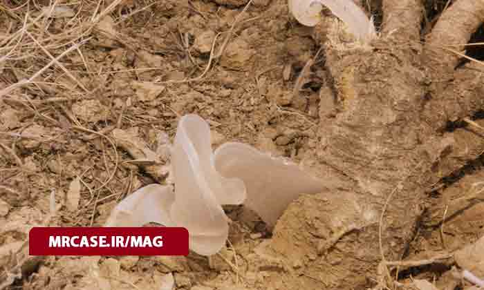کتیرا چیست و چه خواصی دارد ؟