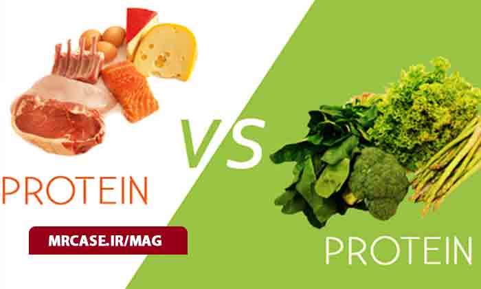 پروتئین گیاهی بهتر است یا حیوانی؟