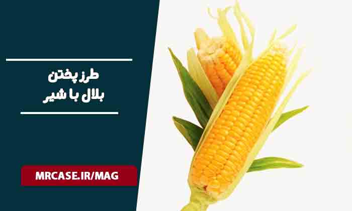 طرز پختن بلال با شیر